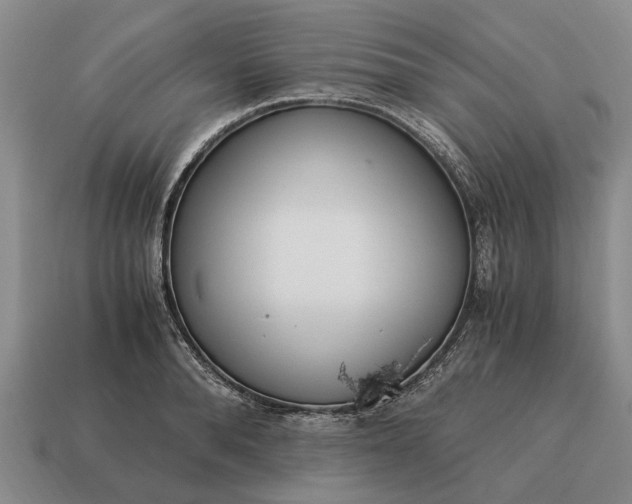 X0000115080896200911101500
