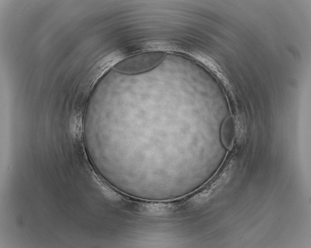X0000115080897200911101500