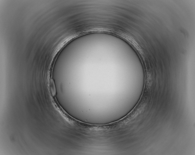 X0000115080898200911101500