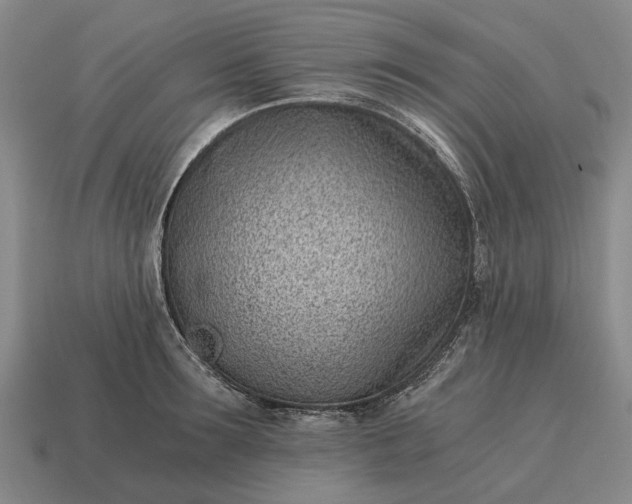 X0000115080899200911101500