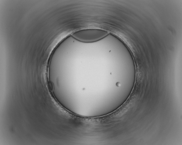 X0000115080901200911101500