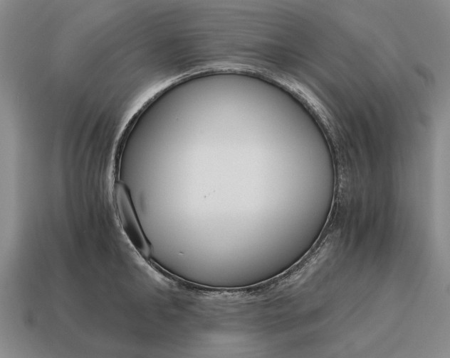 X0000115080902200911101500