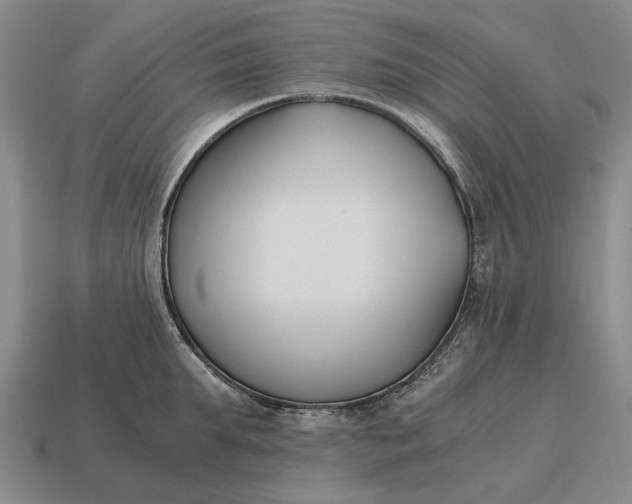 X0000115080903200911101500