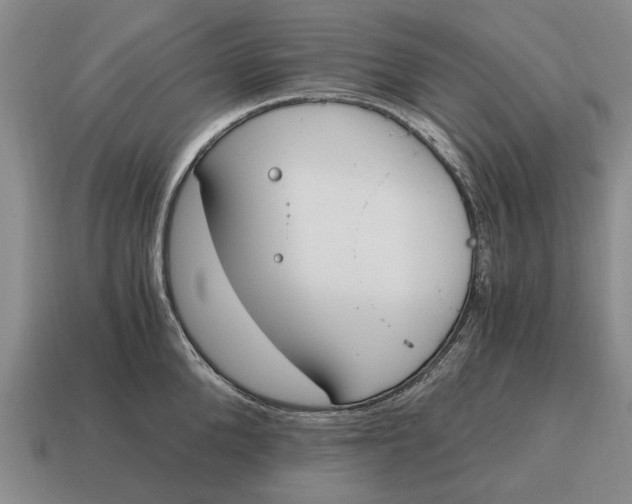 X0000115080904200911101500
