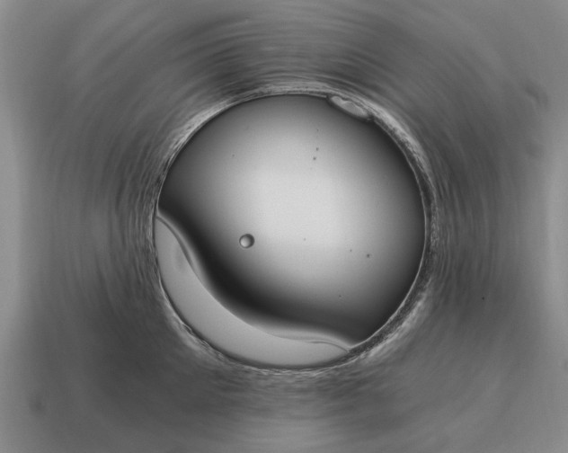 X0000115080905200911101500
