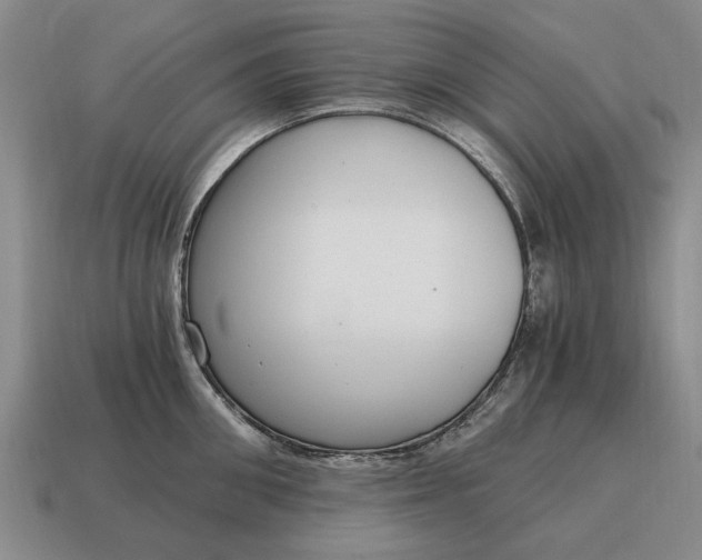 X0000115080906200911101500