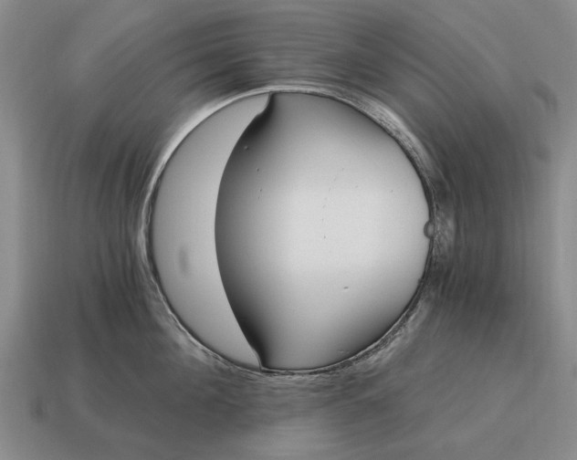 X0000115080908200911101500