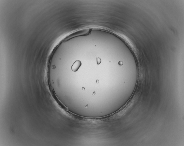 X0000115080910200911101500