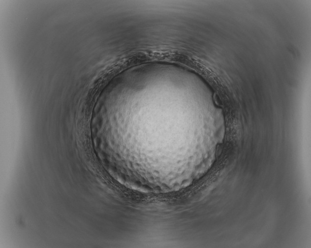 X0000115080913200911101500
