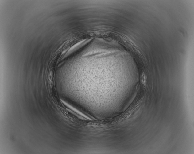 X0000115080915200911101500