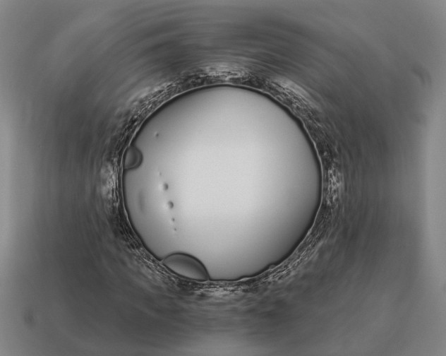 X0000115080917200911101500