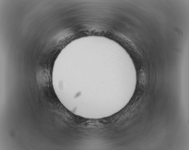 X0000115080918200911101500