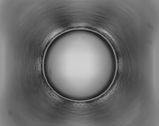 X0000115080921200911101500