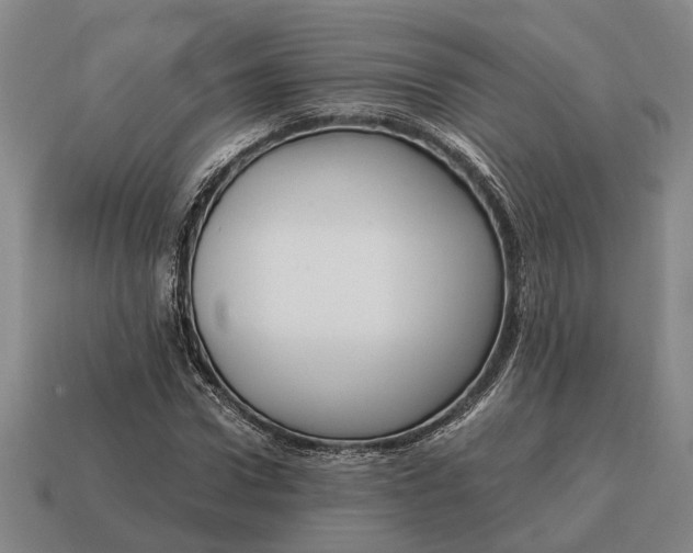 X0000115080922200911101500