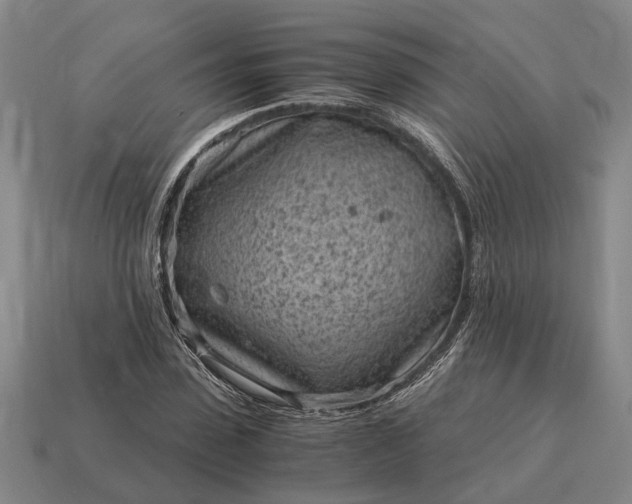 X0000115080923200911101500
