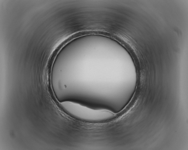 X0000115080925200911101500