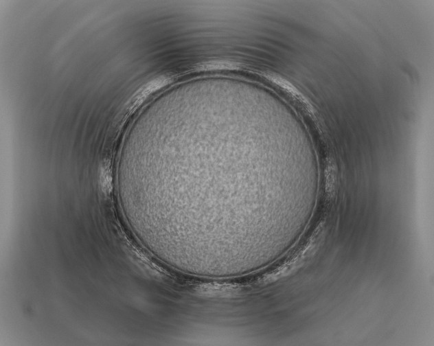 X0000115080929200911101500