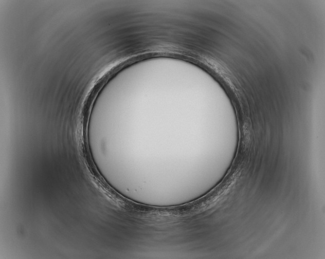 X0000115080931200911101500