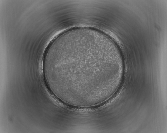 X0000115080934200911101500