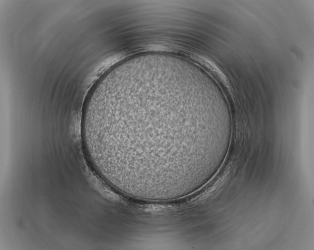 X0000115080938200911101500