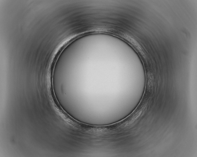 X0000115080939200911101500