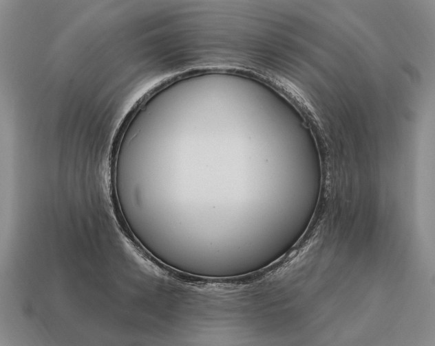 X0000115080942200911101500