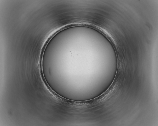 X0000115080943200911101500