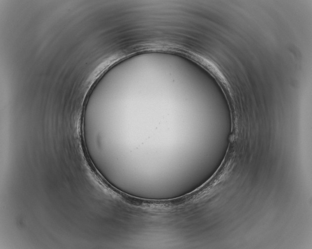 X0000115080946200911101500