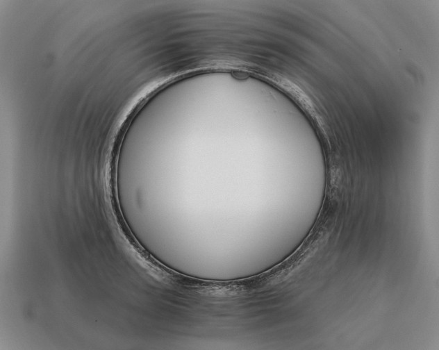 X0000115080947200911101500