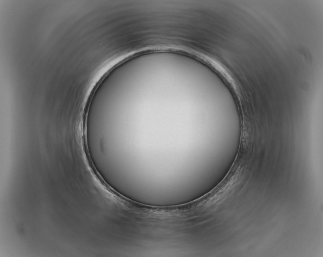 X0000115080951200911101500