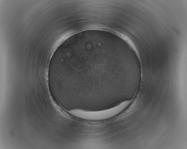 X0000115080954200911101500