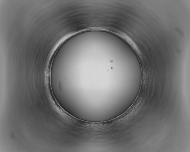 X0000115080955200911101500