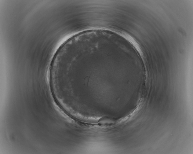 X0000115080958200911101500