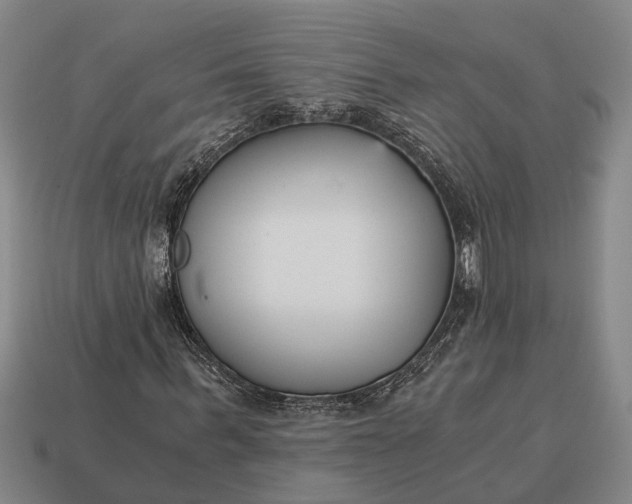X0000115080963200911101459