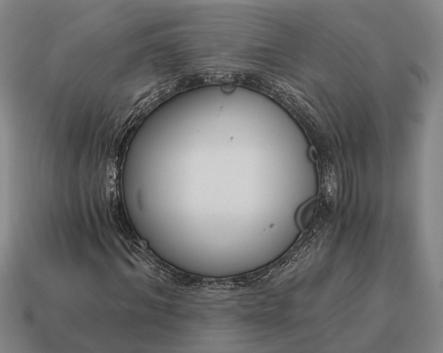 X0000115080964200911101459