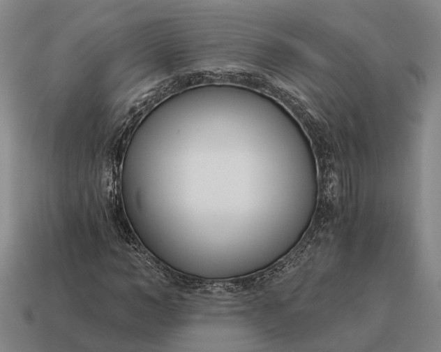 X0000115080966200911101459