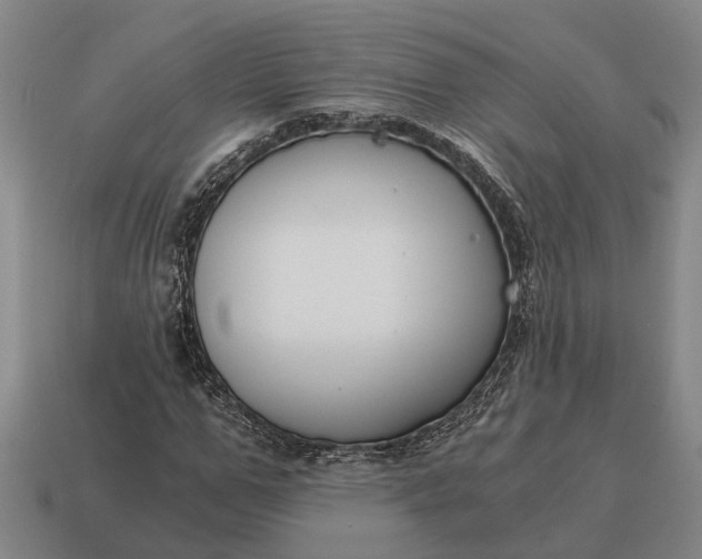 X0000115080967200911101459