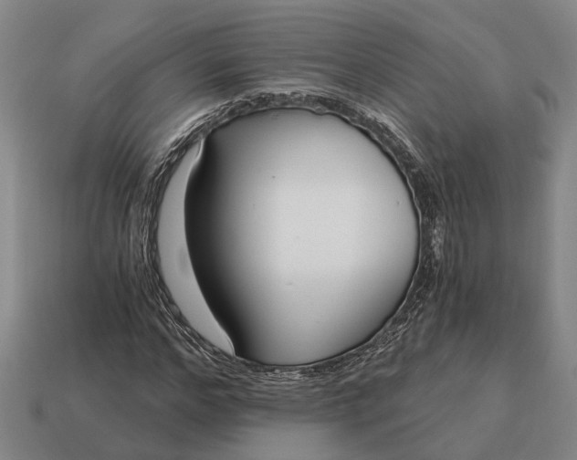 X0000115080968200911101459