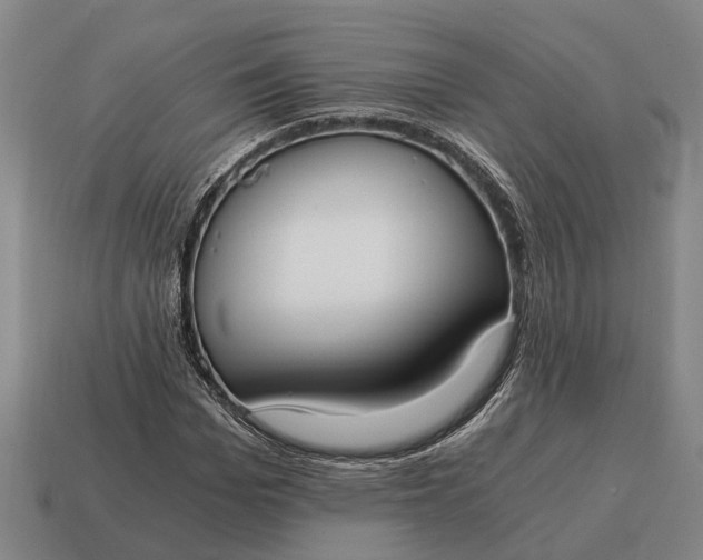 X0000115080969200911101459
