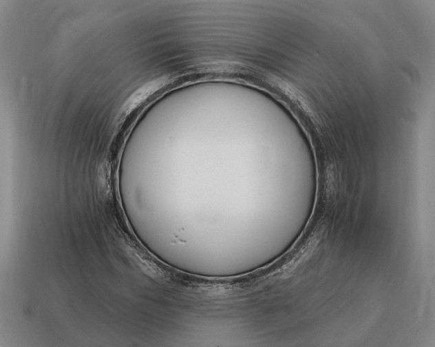 X0000115080970200911101459