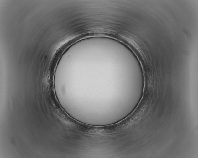 X0000115080971200911101459