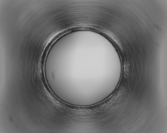 X0000115080972200911101459