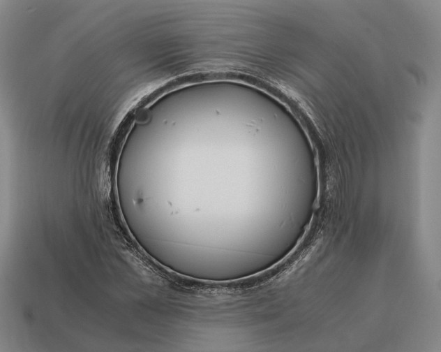 X0000115080973200911101459