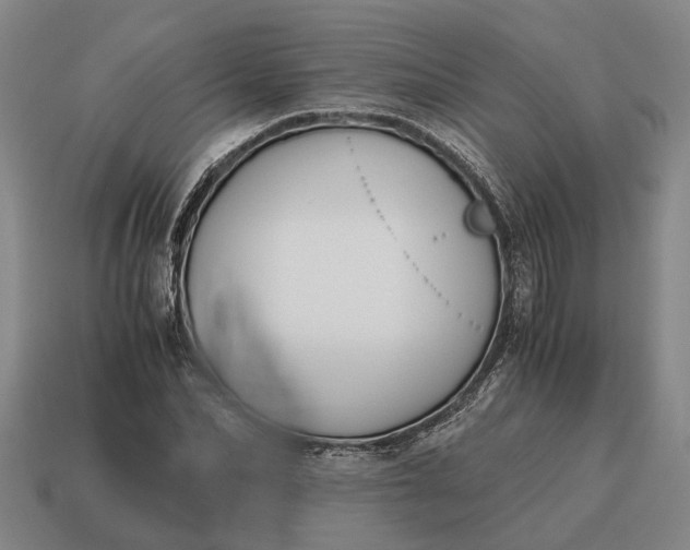 X0000115080974200911101459