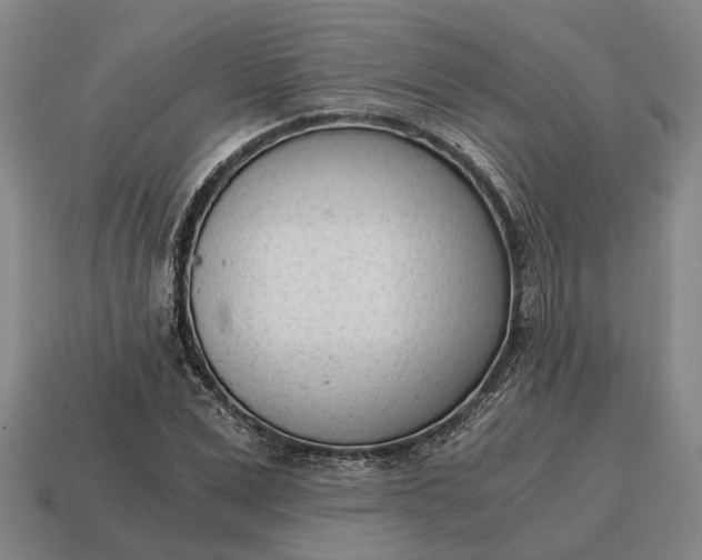 X0000115080975200911101459