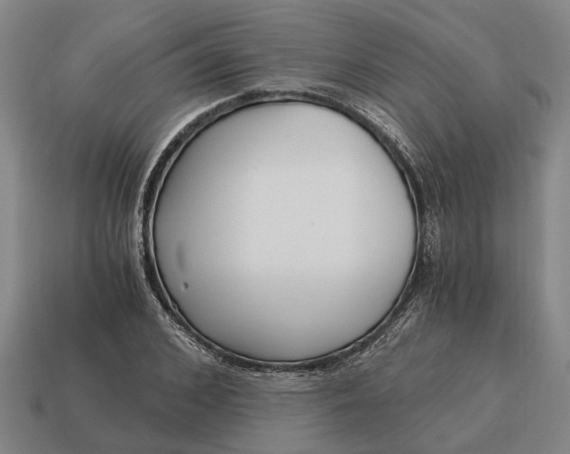 X0000115080976200911101459