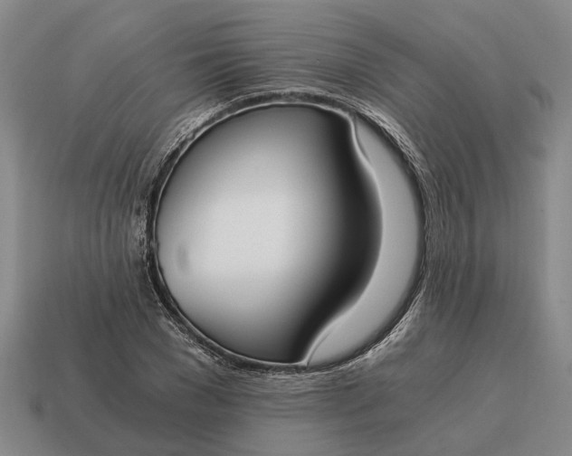 X0000115080977200911101459