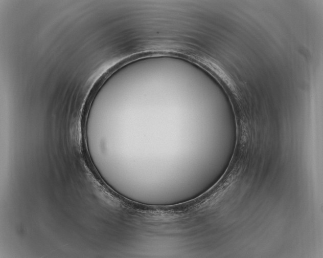 X0000115080980200911101459