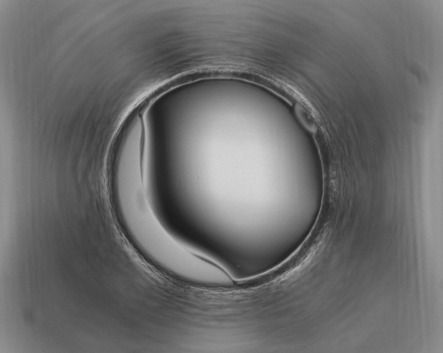 X0000115080981200911101459