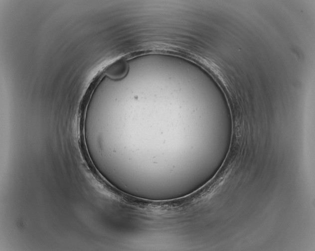 X0000115080987200911101459